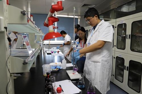 臨沂市舉辦2024年食品安全檢驗檢測技術技能競賽 助推生物基材料技術研發與高質量發展